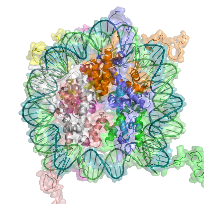 Nucleosome_CES