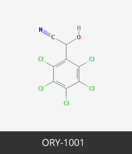 ORY-1001_Cancer Epigenetics Society (CES)