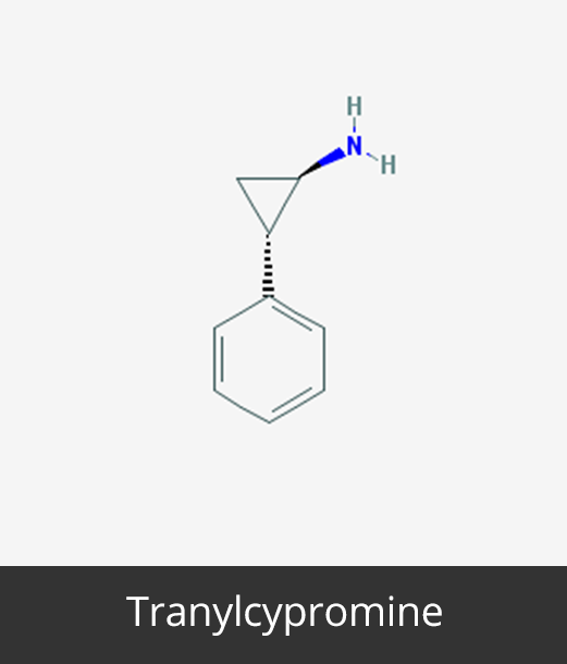 Tranylcypromine_Cancer Epigenetics Society (CES)