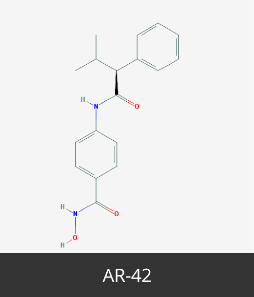 Cancer Epigenetics Society: AR-42