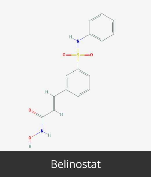 Cancer Epigenetics Society: Belinostat