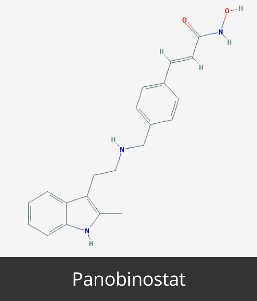 Cancer Epigenetics Society: Panobinostat