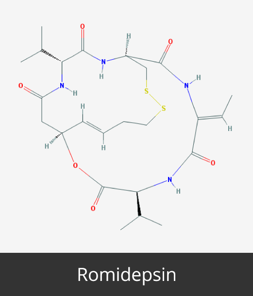 Cancer Epigenetics Society: Romidepsin