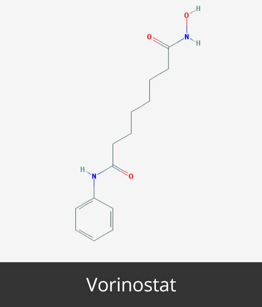 Cancer Epigenetics Society: Vorinostat