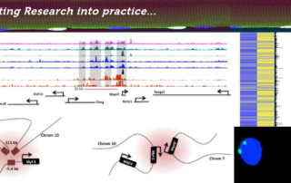 Research at Mexican Society of Epigenetics and Regenerative Medicine